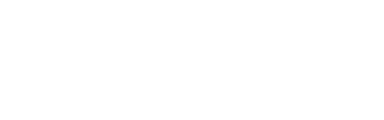OutamateDS™